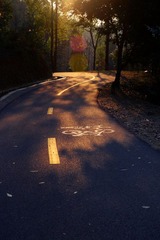 山路.jpg