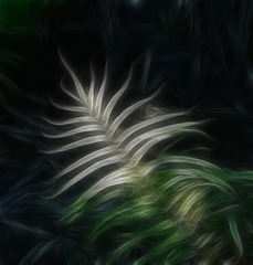 阳光的穿透力2.jpg