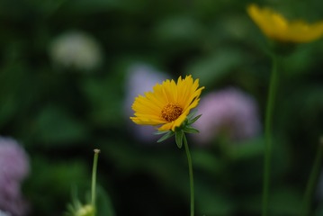 03AD5E52-AB8C-4739-B8DC-F2191581598B/L0/001