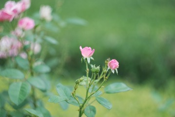 3F112BAF-FCD9-4E83-B880-83E3D2038103/L0/001