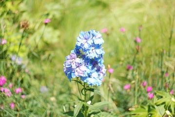653DD97D-755F-44E9-AC61-AFCDB9A52C7C/L0/001