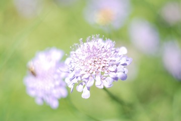 A764F414-E462-4E8A-B940-B027090E6B79/L0/001