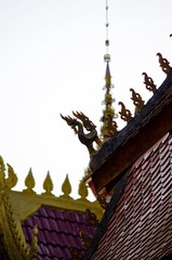 IMGP1715.jpg