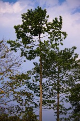 IMGP1789.jpg