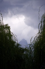 IMGP2139.jpg