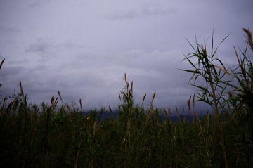 IMGP2149.jpg