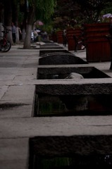 IMGP2221.jpg