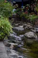 IMGP2230.jpg