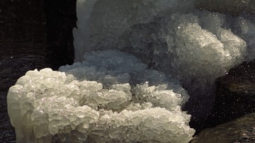 504166