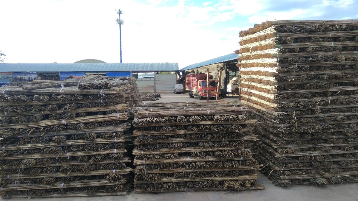 废旧模板木材回收价格