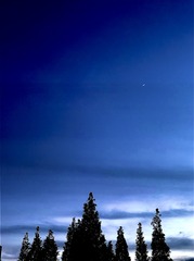 0123E7FD-ED9E-475F-B25D-C02E886C200B/L0/001