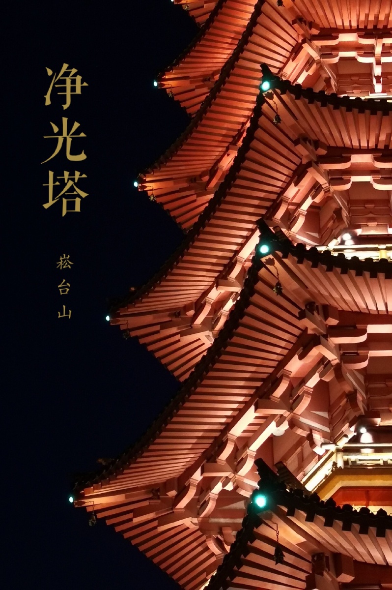 温州市区崧台山麓的净光塔,虽然是现在重新修过,但还是很美.