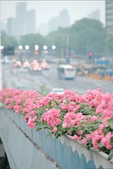 375E6CFE-F6CA-47CF-BE7E-7FC801D16233/L0/001