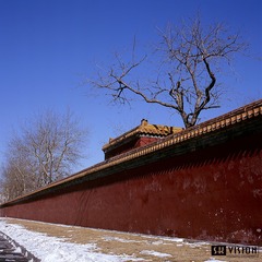《墙》