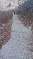 1067739