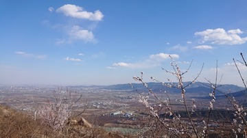 1067734