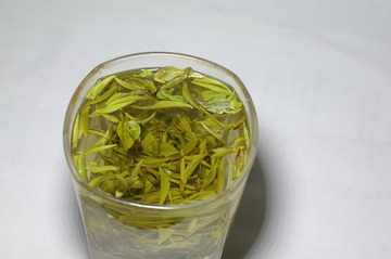 霍山黄芽