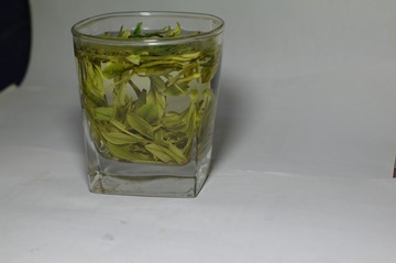 安吉白茶