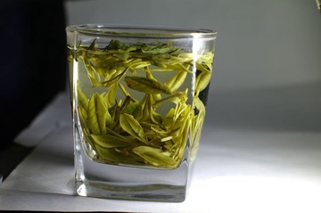 安吉白茶