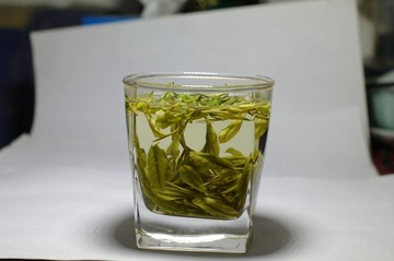 安吉白茶