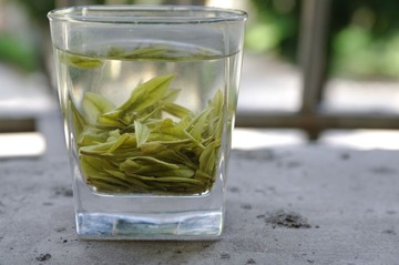 自然光下的安吉白茶