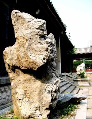 山东省考古所