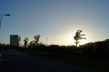 UNNC Y1