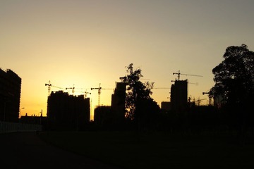 UNNC Y1