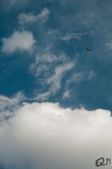 20090307-DSC_0103