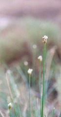 20110814-DSC_0406