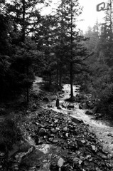 20110815-DSC_0457