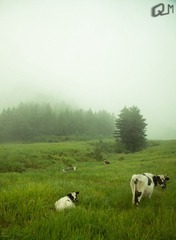 20110815-DSC_0480