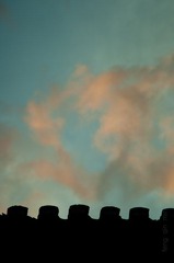 20111003-DSC_2886.jpg