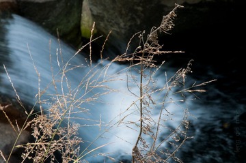 20111004-DSC_3009.jpg