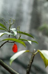 20111004-DSC_3023.jpg