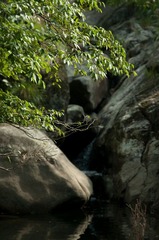 20111004-DSC_3064.jpg
