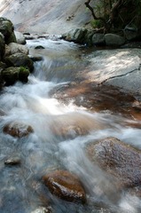 20111004-DSC_3133.jpg