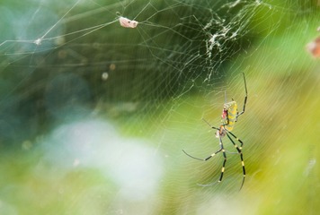 20111004-DSC_3218.jpg