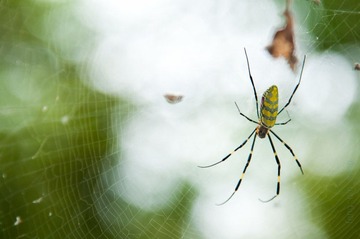 20111004-DSC_3219.jpg