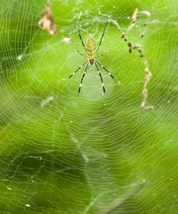 20111004-DSC_3226.jpg