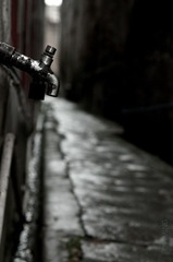 20120120-DSC_4266.jpg
