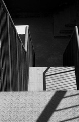 DSC_4865.JPG