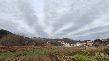 1000015448