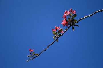 照片 118.jpg