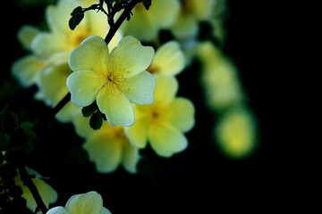 照片 338.jpg