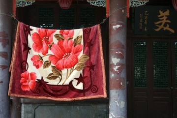 照片 022.jpg