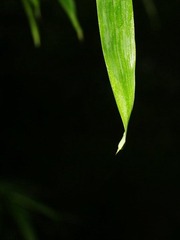 照片 036.jpg