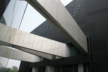 IMG_4954.jpg