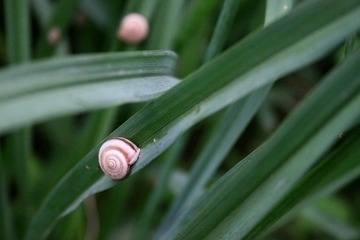 照片 132.jpg