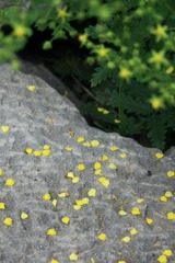 照片 059.jpg